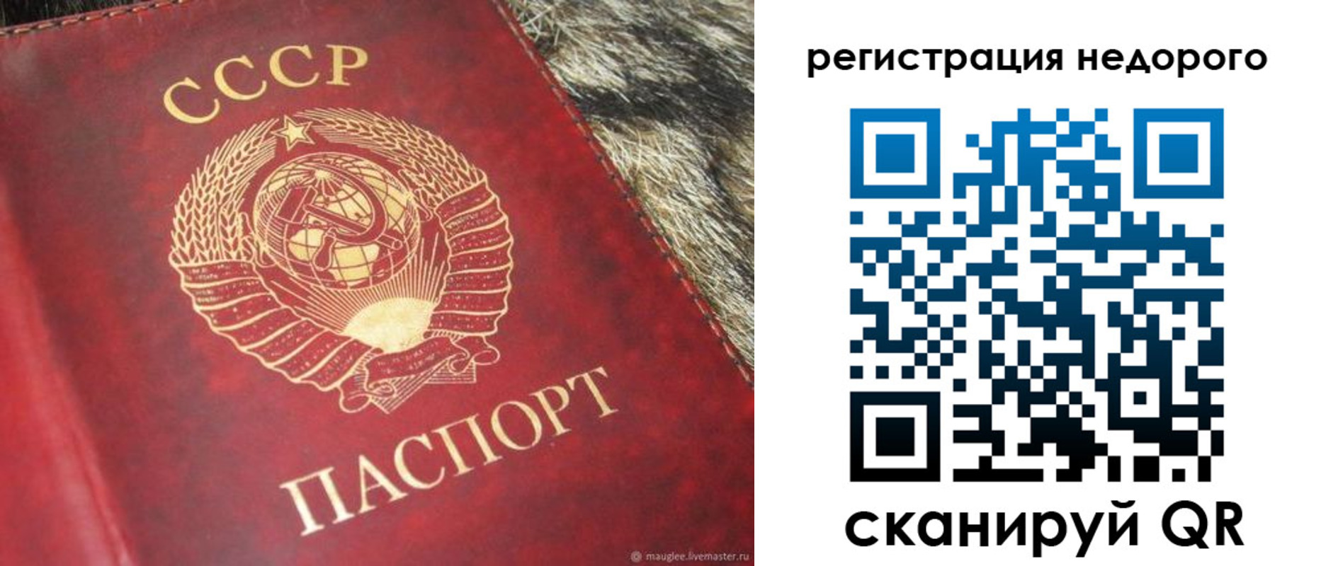прописка ребенка в Жирновске